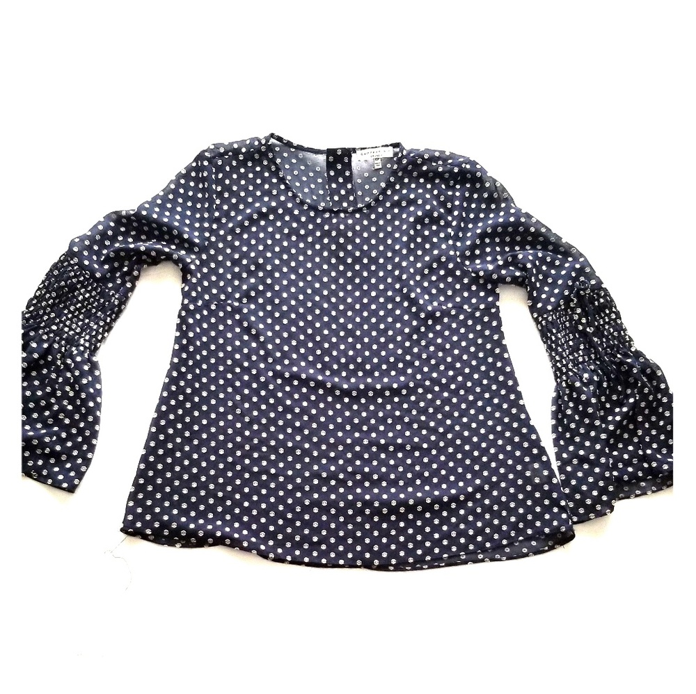 Current Air sheer long sleeve blouse